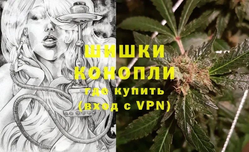 как найти наркотики  Новомосковск  Конопля White Widow 